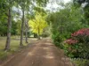 1 Websters Road, Leslie Vale, Tas 7054-Image