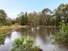 1 Websters Road, Leslie Vale, Tas 7054-Image