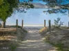 1 Wellbor Road, Snug, Tas 7054-Image