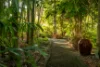 1 Wisbech Place, Thornlands, Qld 4164-Image