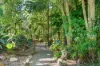1 Wisbech Place, Thornlands, Qld 4164-Image