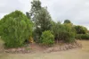1 Wondai Road, Proston, Qld 4613-Image