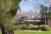 1 Woolcock Street, Watson, ACT 2602-Image