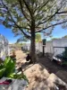 1 Wright Street, Peterborough, SA 5422-Image