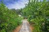 1 Zamia Court, Clinton, Qld 4680-Image