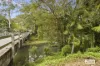 1 Zara Road, Chillingham, NSW 2484-Image