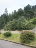 10 & 12 Batchelor St, Queenstown, Tas 7467-Image