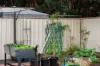 10/24 Elizabeth Street, Tanunda, SA 5352-Image