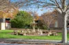 10/24 Elizabeth Street, Tanunda, SA 5352-Image