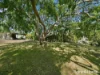 10 Ada Street, Triabunna, Tas 7190-Image