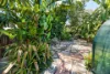 10 Alamein Street, Stratford, Qld 4870-Image