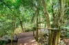 10 Alexander Parade, Charlestown, NSW 2290-Image