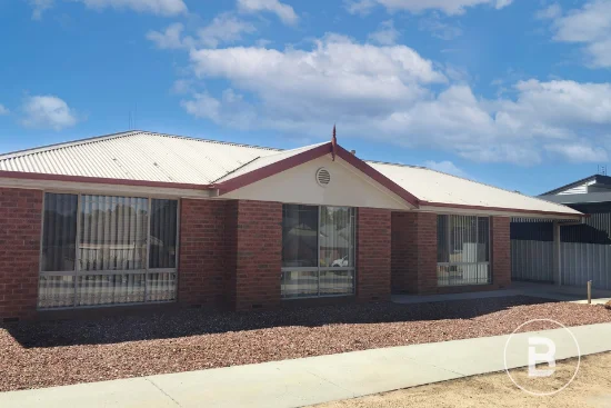 10 Allingham Street, Golden Square, Vic 3555