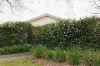 10 Allport Street, Downer, ACT 2602-Image