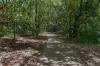 10 April Court, Joyner, Qld 4500-Image