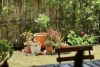 10 Ararat Street, Riverhills, Qld 4074-Image