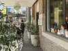 10 Argonne Street, North Strathfield, NSW 2137-Image