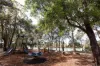 10 Arilla Street, Wurtulla, Qld 4575-Image