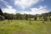 10 Barreenong Road, Cottles Bridge, Vic 3099-Image