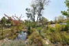 10 Belinda Place, Armidale, NSW 2350-Image
