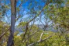 10 Birramal Drive, Dunbogan, NSW 2443-Image