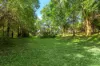 10 Botanic Court, Mullumbimby, NSW 2482-Image