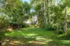 10 Botanic Court, Mullumbimby, NSW 2482-Image