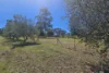 10 Bourke Street, Blandford, NSW 2338-Image