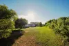 10 Bridge Street East, Burra, SA 5417-Image