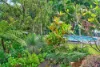10 Brushbox Drive, Mullumbimby Creek, NSW 2482-Image