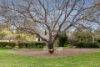 10 Buchanan Street, Narrabundah, ACT 2604-Image