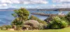 10 BY STREET, Eden, NSW 2551-Image