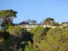 10 BY STREET, Eden, NSW 2551-Image