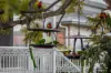 10 Calida Street, Boondall, Qld 4034-Image