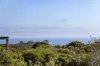 10 Campbell Court, Cape Schanck, Vic 3939-Image