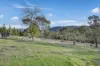 10 Cherilane Place, Magra, Tas 7140-Image