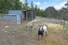 10 Cherilane Place, Magra, Tas 7140-Image