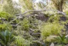 10 Chilli Glade, Two Rocks, WA 6037-Image