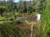 10 Clark Street, Queenstown, Tas 7467-Image