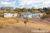 10 Cope Road, Gulgong, NSW 2852-Image