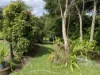 10 Corbett Close, Bulgun, Qld 4854-Image