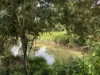 10 Corbett Close, Bulgun, Qld 4854-Image