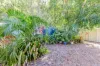 10 Cottonwood Court, Poona, Qld 4650-Image