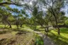 10 Cuthbert Court, Golden Grove, SA 5125-Image
