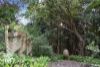 10 Cycad Place, Flaxton, Qld 4560-Image