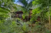 10 Cycas Close, Kamerunga, Qld 4870-Image