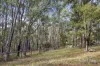 10 Dafter Road, Woodend, Vic 3442-Image