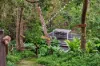 10 Deane Avenue, Belair SA 5052-Image