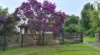 10 Delaware Road, Niagara Park, NSW 2250-Image