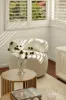10 Deramore Street, Wavell Heights, Qld 4012-Image